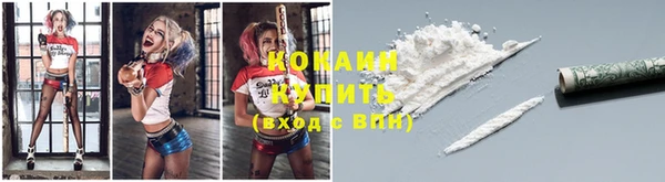 соль ск Надым