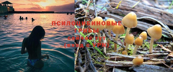 дживик Наволоки