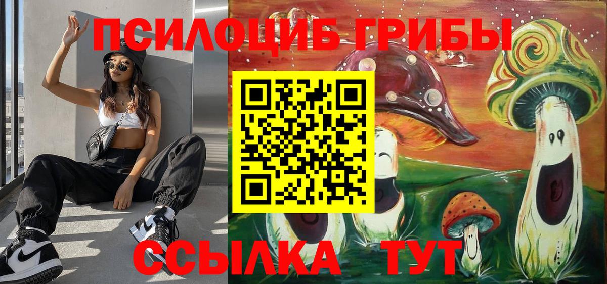 Псилоцибиновые грибы прущие грибы Уфа